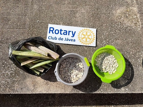 Rotary Club Jávea | 27enero HuertoCentroDia
